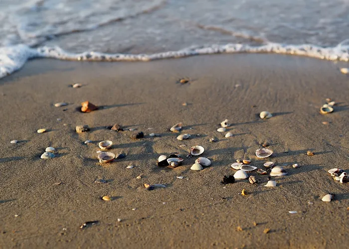 Modern Flat With Balcony-beahost Apartman Bibione